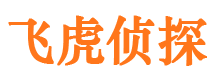 嘉峪关调查事务所